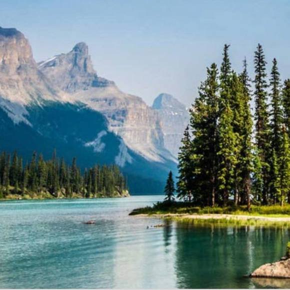 Meet your Posher, Hala - Picture 1 of 1